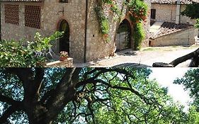 Fattoria Di Mugnano